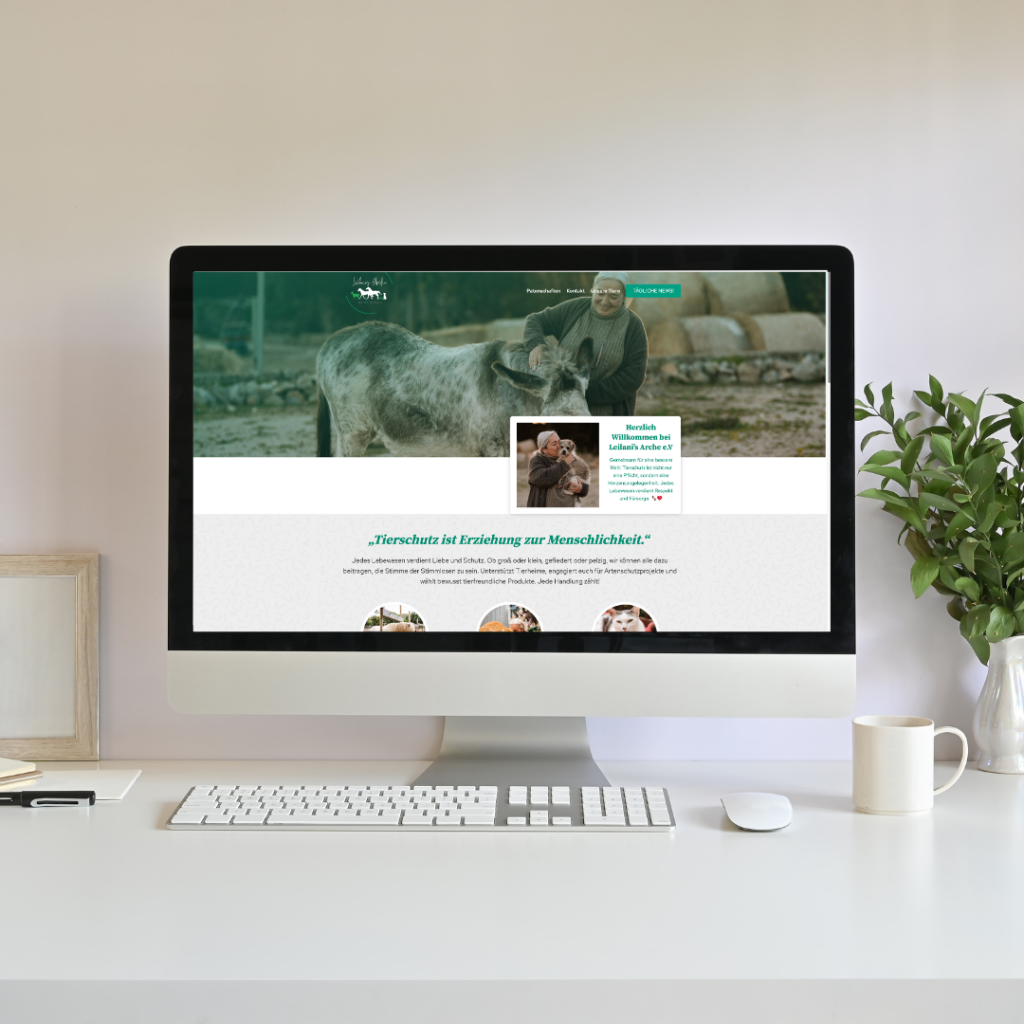 Grafikdesign, Webdesign & Videobearbeitung